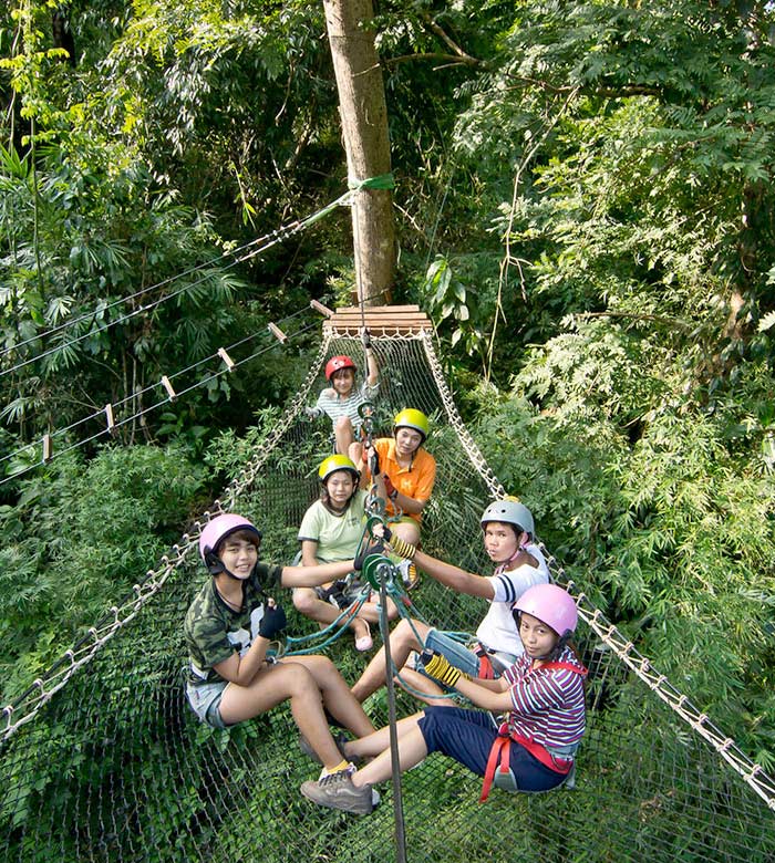 Tree Top Adventure