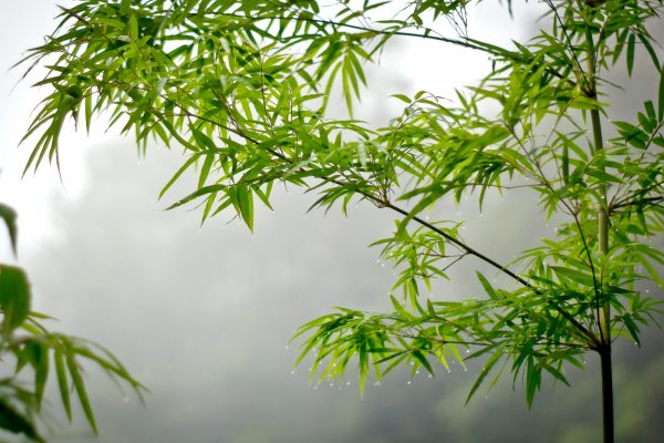 对环保与社会的责任 4