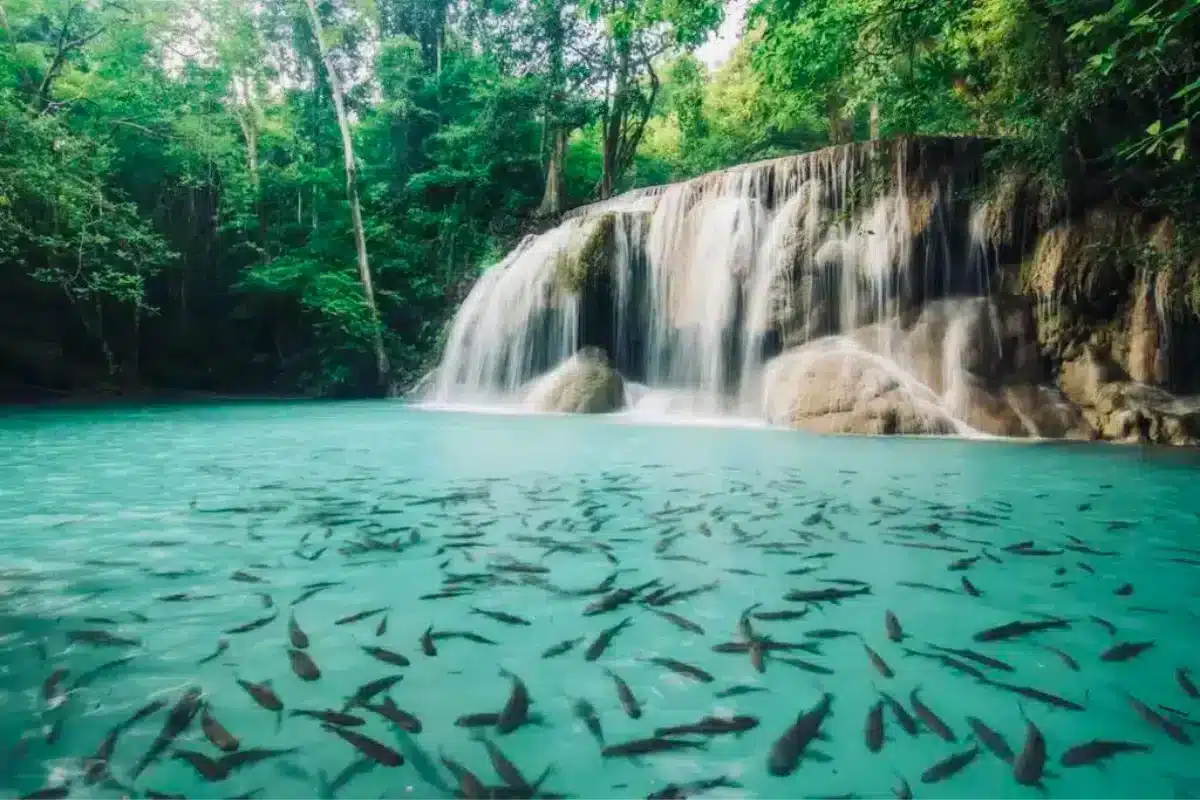 Water Activities in Kanchanaburi