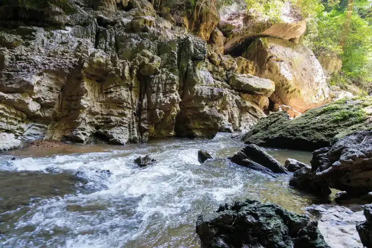 อุทยานแห่งชาติลำคลองงู Lam Khlong Ngu National Park