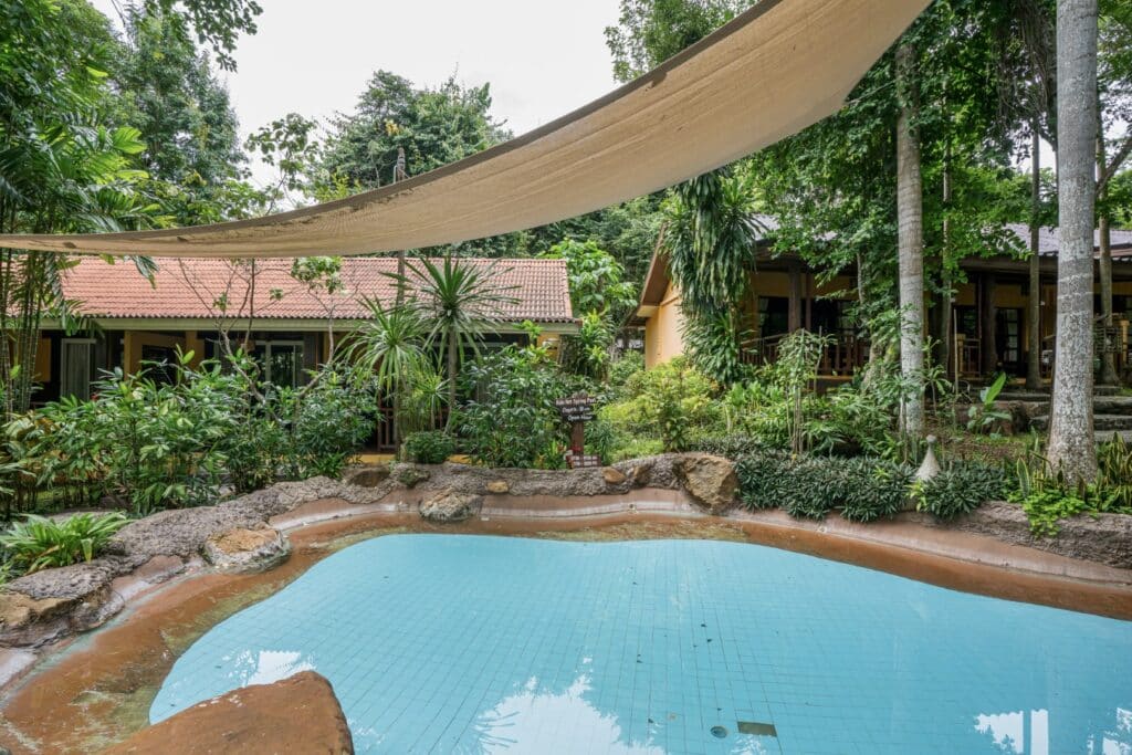 1. Natural Hot Spring Spa Amidst the Forest