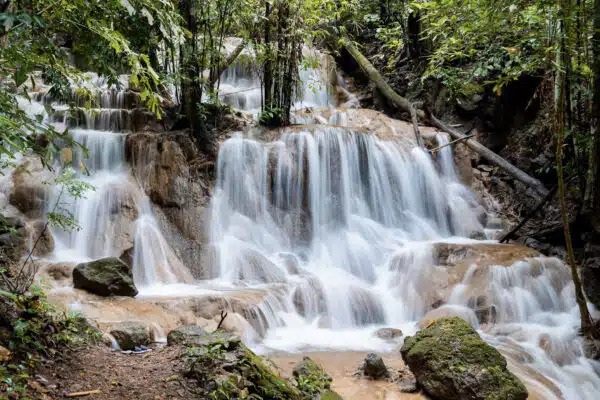 Onsite Activities 78